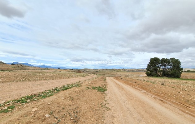 Herverkoop - Villa - Torre Del Rico - Inland