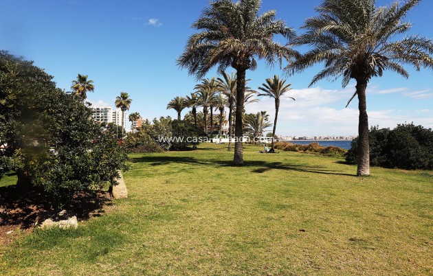 Reventa - Apartamento / piso - Torrevieja - Costa Blanca