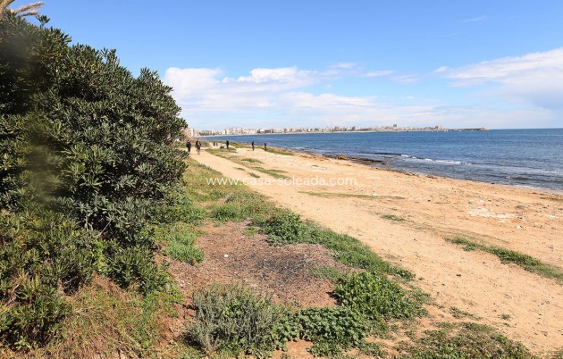 Reventa - Apartamento / piso - Torrevieja - Costa Blanca