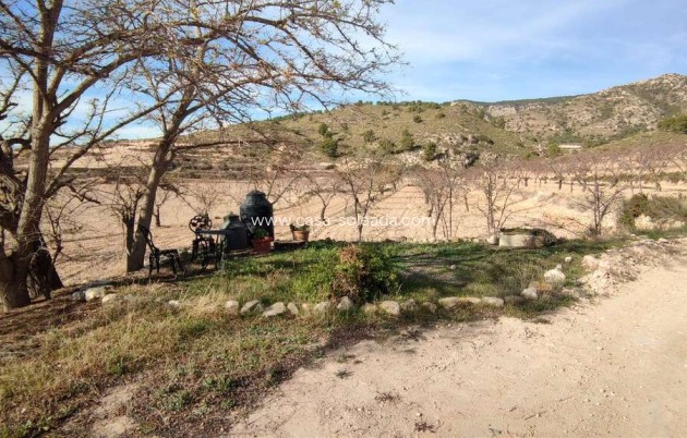 Herverkoop - Country Property/Finca - Jumilla - Inland