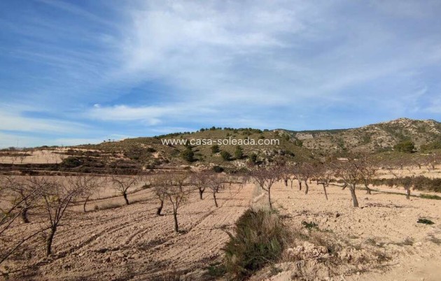 Herverkoop - Country Property/Finca - Jumilla - Inland