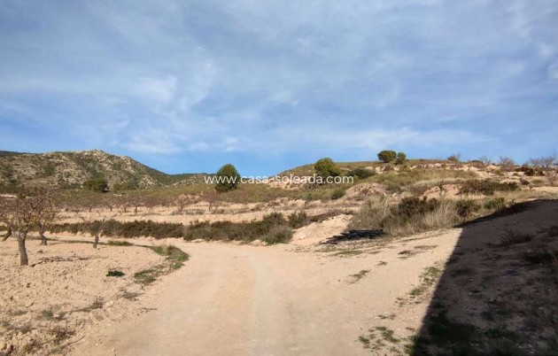 Herverkoop - Country Property/Finca - Jumilla - Inland
