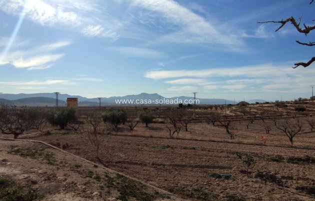 Herverkoop - Country Property/Finca - Jumilla - Inland