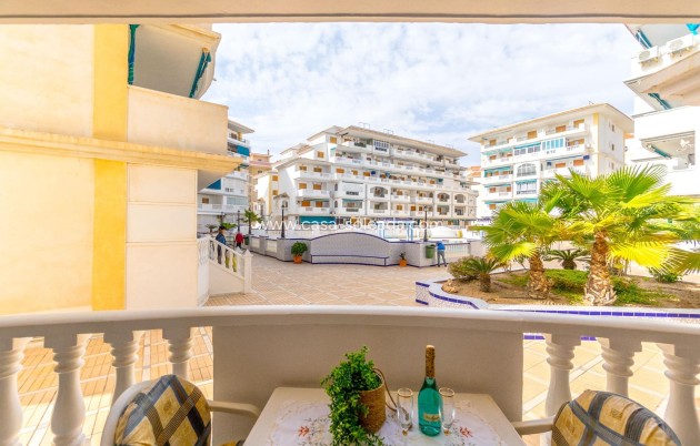 Herverkoop - Appartement / flat - Torrevieja - Los Europeos