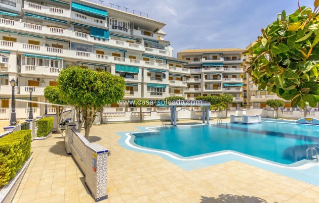 Herverkoop - Appartement / flat - Torrevieja - Los Europeos