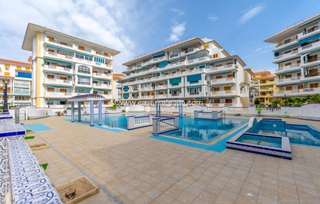 Herverkoop - Appartement / flat - Torrevieja - Los Europeos