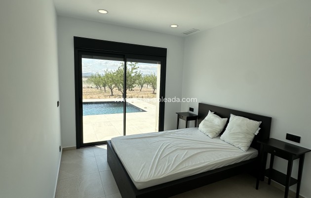 Nouvelle construction - Villa - Pinoso