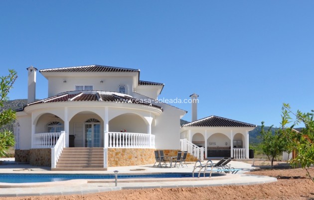 Nouvelle construction - Villa - Pinoso