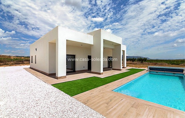 Nouvelle construction - Villa - Pinoso