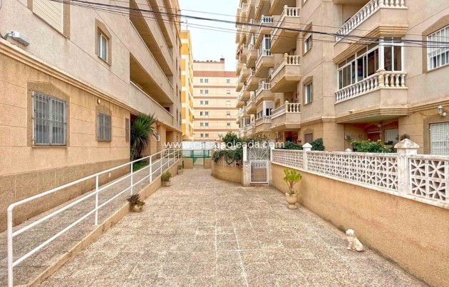 Herverkoop - Appartement / flat - Torrevieja - Costa Blanca
