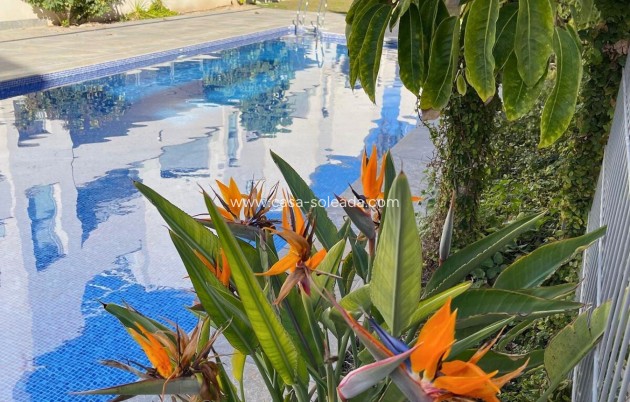 Herverkoop - Appartement / flat - Torrevieja - Costa Blanca