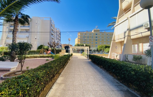 Resale - Apartment / flat - Torrevieja