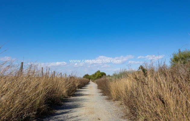Resale - Apartment / flat - Torrevieja - San Luis