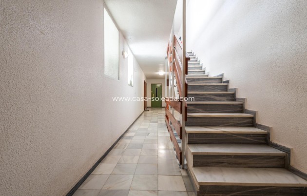 Revente - Appartement - Torrevieja - Acequion