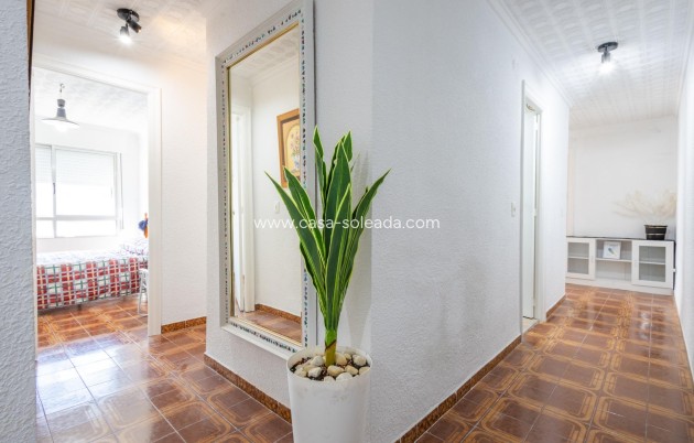Revente - Appartement - Torrevieja - Acequion