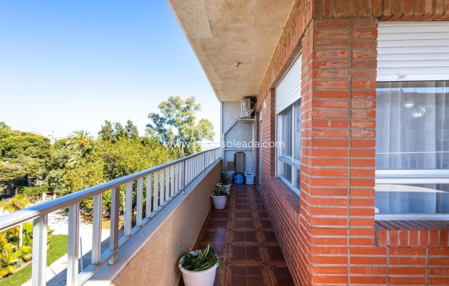 Revente - Appartement - Torrevieja - Acequion
