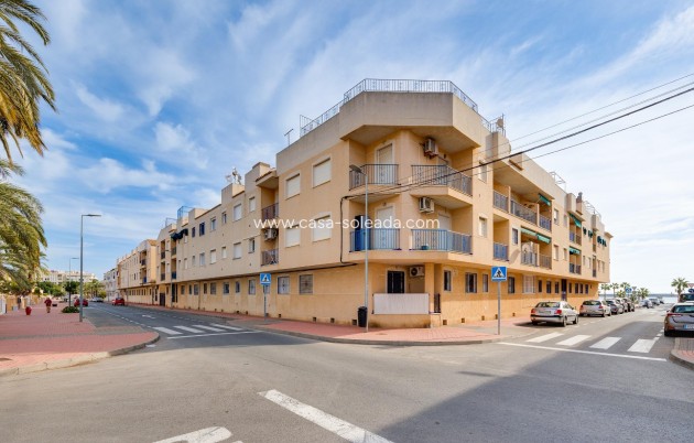 Herverkoop - Appartement / flat - Torrevieja - Playa De Los Naufragos