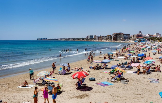 Herverkoop - Appartement / flat - Torrevieja - Playa De Los Naufragos