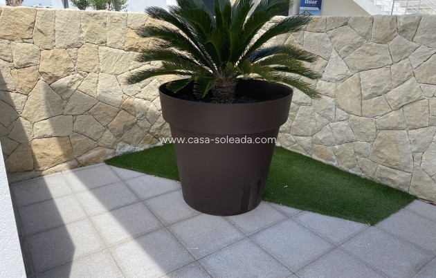 Herverkoop - Appartement / flat - Punta Prima - Costa Blanca