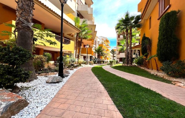 Herverkoop - Appartement / flat - Torrevieja - Punta Prima