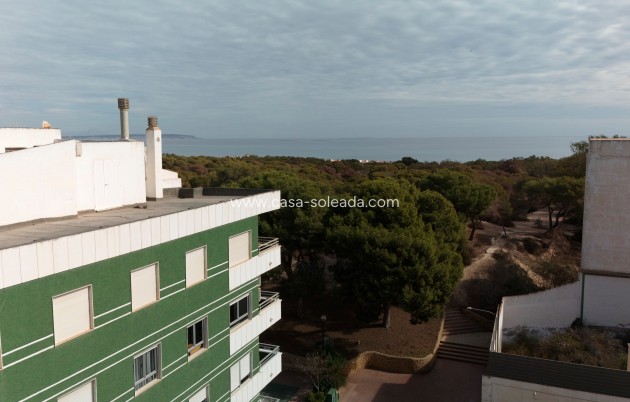 Nouvelle construction - Appartement - Guardamar del Segura