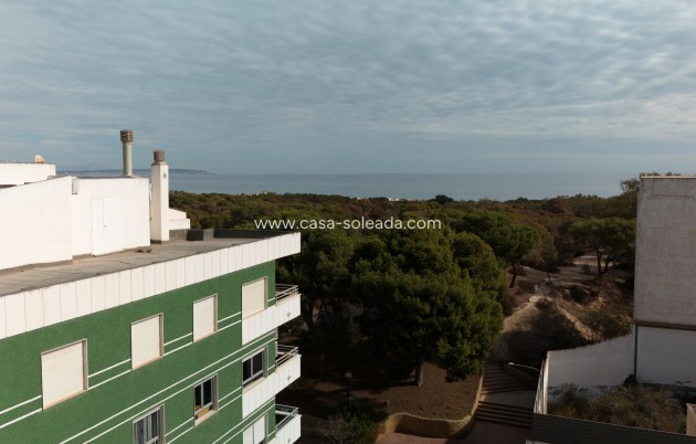 Nouvelle construction - Appartement - Guardamar del Segura