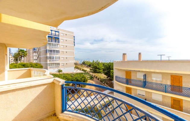 Wiederverkauf - Wohnung - Arenales del Sol - Costa Blanca