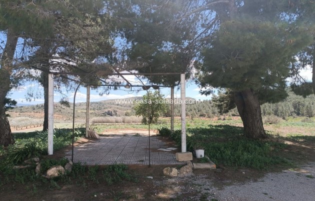 Wiederverkauf - Country Property/Finca - Yecla - Inland