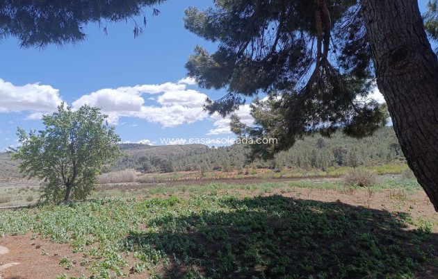Wiederverkauf - Country Property/Finca - Yecla - Inland
