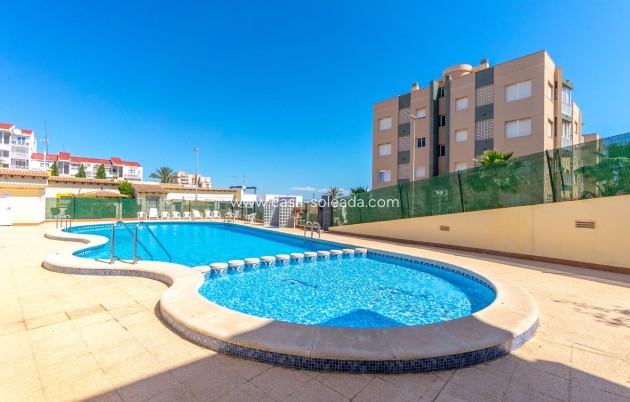 Herverkoop - Appartement / flat - Torrevieja - Cabo cervera