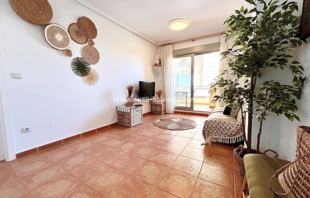 Herverkoop - Appartement / flat - Guardamar del Segura - Costa Blanca