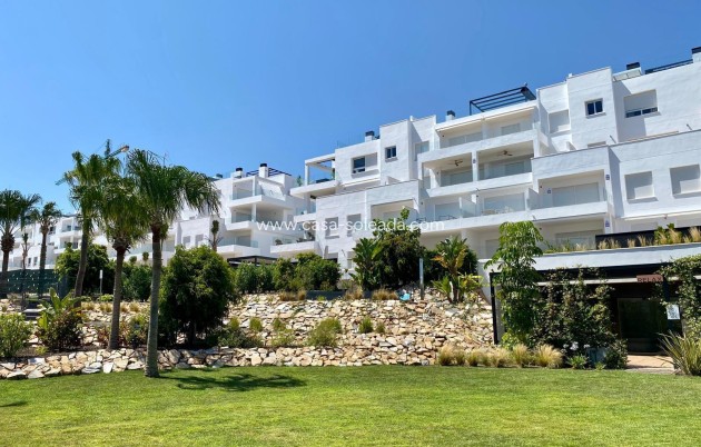 Herverkoop - Appartement / flat - Torrevieja - Punta Prima