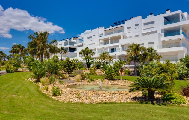 Wiederverkauf - Wohnung - Torrevieja - Los Balcones