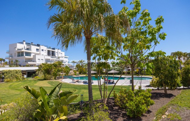 Wiederverkauf - Wohnung - Torrevieja - Los Balcones