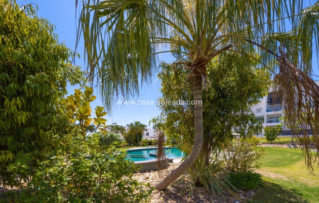 Wiederverkauf - Wohnung - Torrevieja - Los Balcones