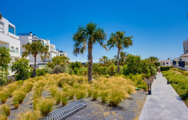 Wiederverkauf - Wohnung - Torrevieja - Los Balcones