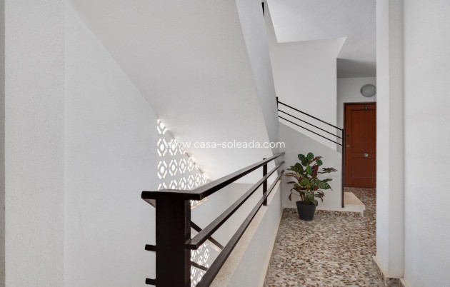 Reventa - Apartamento / piso - Lo Pagan - Villananitos
