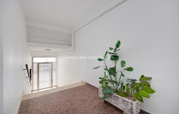 Reventa - Apartamento / piso - Lo Pagan - Villananitos