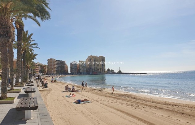 Wiederverkauf - Wohnung - Torrevieja - Estacion Autobuses