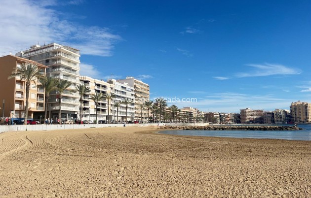 Wiederverkauf - Wohnung - Torrevieja - Estacion Autobuses
