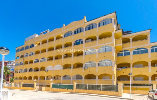 Wiederverkauf - Wohnung - Torrevieja - Costa Blanca