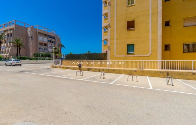 Wiederverkauf - Wohnung - Torrevieja - Costa Blanca