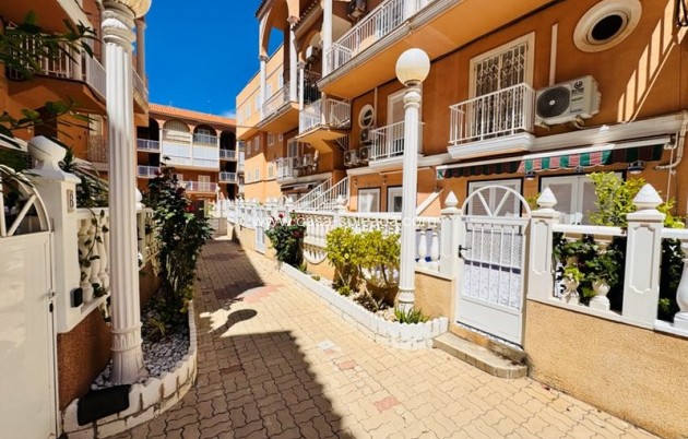 Wiederverkauf - Stadthaus - La Mata - Costa Blanca