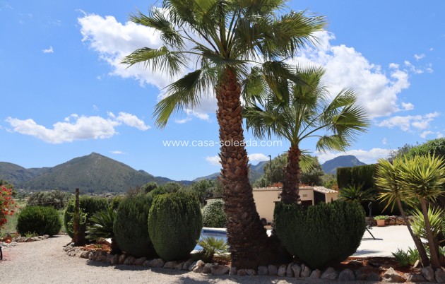 Wiederverkauf - Country Property/Finca - Lliber - Inland
