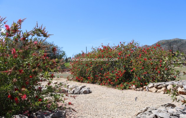 Wiederverkauf - Country Property/Finca - Lliber - Inland