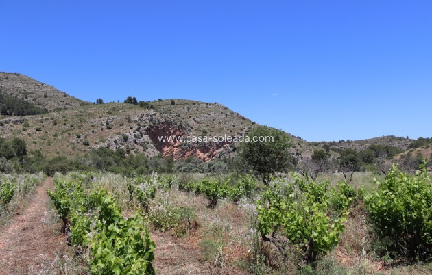 Wiederverkauf - Country Property/Finca - Lliber - Inland