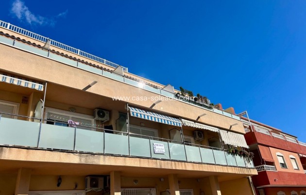 Wiederverkauf - Wohnung - Torrevieja - Costa Blanca