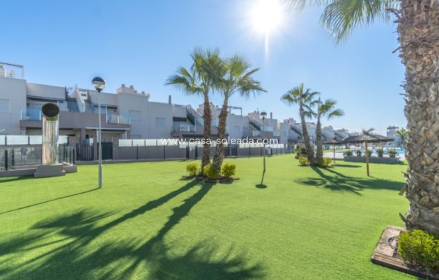 Herverkoop - Appartement / flat - Torrevieja - Costa Blanca