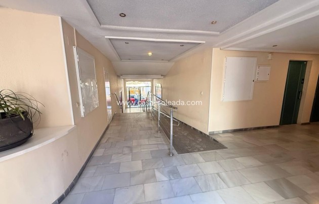 Wiederverkauf - Wohnung - Torrevieja - Acequion