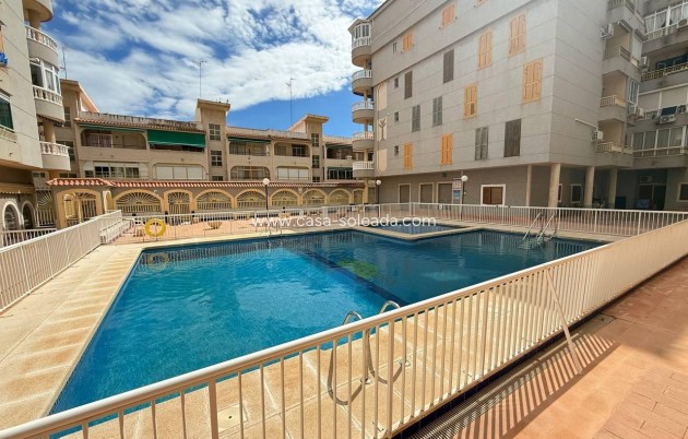 Wiederverkauf - Wohnung - Torrevieja - Acequion